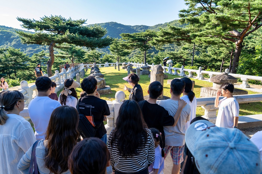대규모 예산 투입 없이도 매진 행렬… 야간 콘텐츠로 승부한 성주군 야간관광